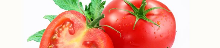 Tomato Products